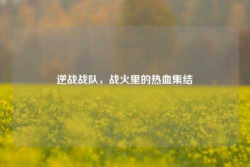 逆战战队,战火里的热血集结