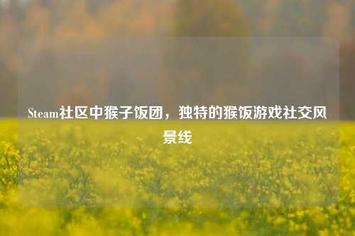Steam社区中猴子饭团,独特的猴饭游戏社交风景线