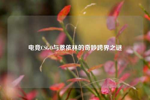 电竞CSGO与蔡依林的奇妙跨界之谜