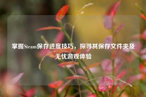 掌握Steam保存进度技巧,探寻其保存文件夹及无忧游戏体验