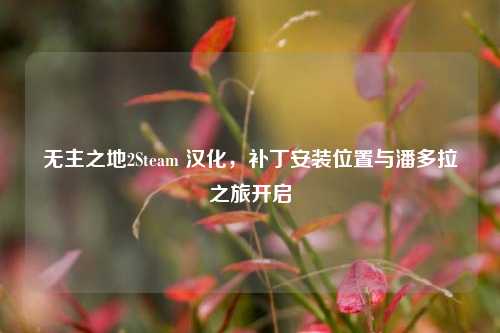 无主之地2Steam 汉化,补丁安装位置与潘多拉之旅开启