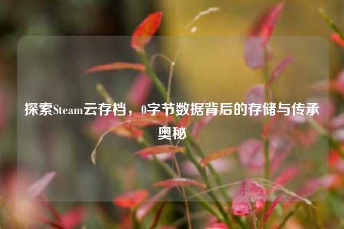 探索Steam云存档,0字节数据背后的存储与传承奥秘