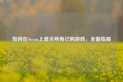 如何在Steam上显示所有已购游戏,全面指南
