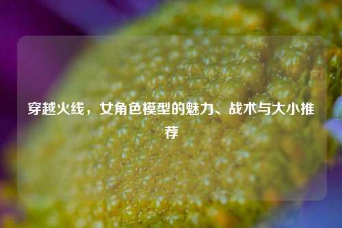 穿越火线,女角色模型的魅力、战术与大小推荐