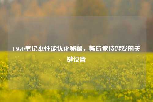 CSGO笔记本性能优化秘籍,畅玩竞技游戏的关键设置