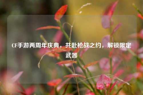 CF手游两周年庆典,共赴枪战之约,解锁限定武器