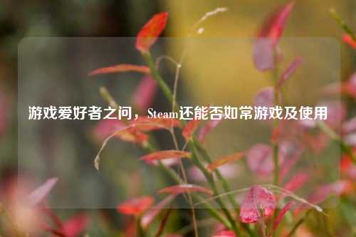 游戏爱好者之问,Steam还能否如常游戏及使用