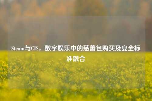 Steam与CIS,数字娱乐中的慈善包购买及安全标准融合
