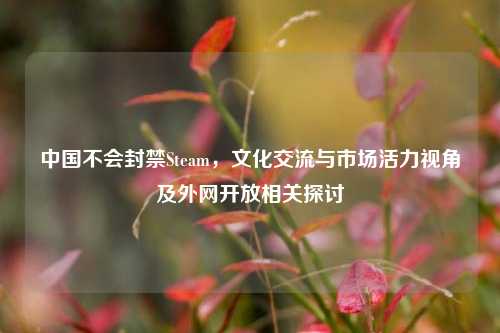 中国不会封禁Steam,文化交流与市场活力视角及外网开放相关探讨