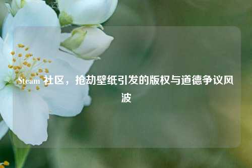 Steam 社区，抢劫壁纸引发的版权与道德争议风波