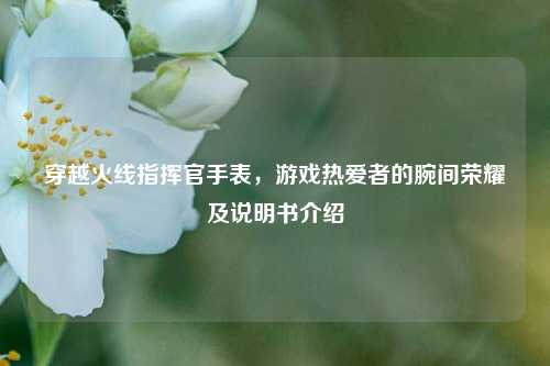 穿越火线指挥官手表,游戏热爱者的腕间荣耀及说明书介绍