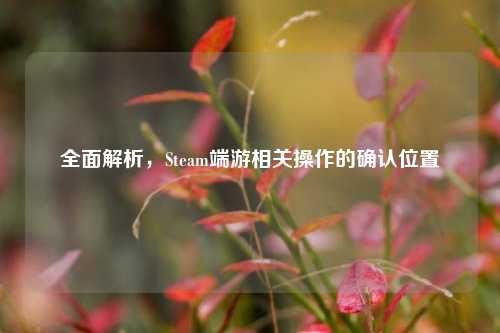 全面解析,Steam端游相关操作的确认位置