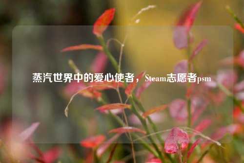 蒸汽世界中的爱心使者,Steam志愿者p***
