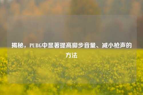 揭秘，PUBG中显著提高脚步音量、减小枪声的 *** 
