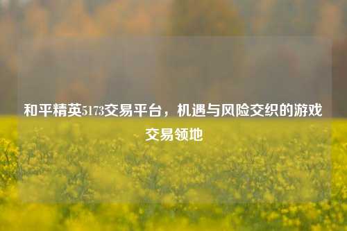 和平精英5173交易平台，机遇与风险交织的游戏交易领地