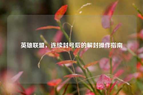 英雄联盟,连续封号后的解封操作指南