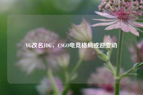 VG改名JDG,CSGO电竞格局或迎变动