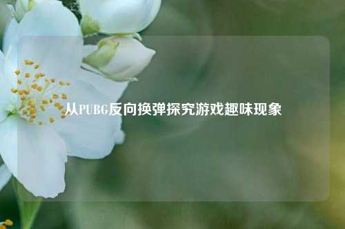 从PUBG反向换弹探究游戏趣味现象
