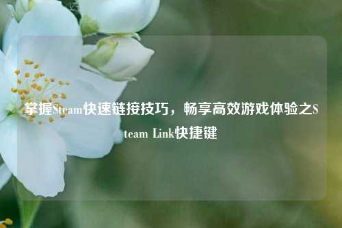 掌握Steam快速链接技巧,畅享高效游戏体验之Steam Link快捷键