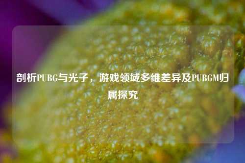 剖析PUBG与光子,游戏领域多维差异及PUBGM归属探究