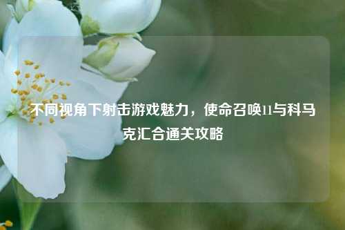 不同视角下射击游戏魅力,使命召唤11与科马克汇合通关攻略