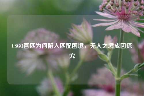 CSGO官匹为何陷入匹配困境,无人之境成因探究
