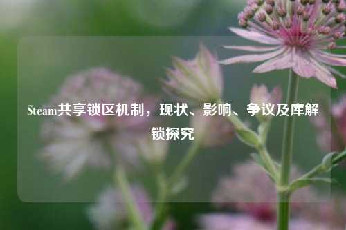 Steam共享锁区机制,现状、影响、争议及库解锁探究