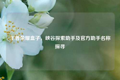 王者荣耀盒子,峡谷探索助手及官方助手名称探寻