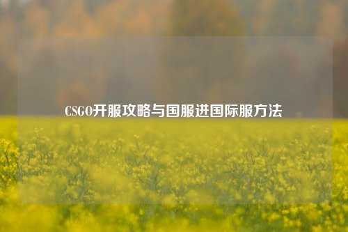 CSGO开服攻略与国服进国际服 ***