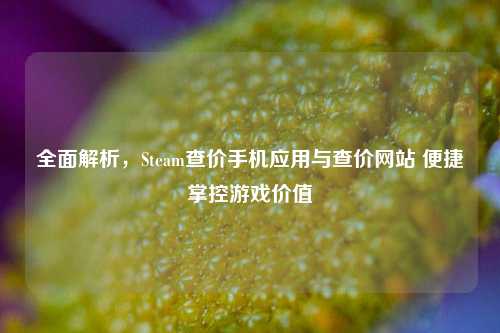 全面解析,Steam查价手机应用与查价网站 便捷掌控游戏价值