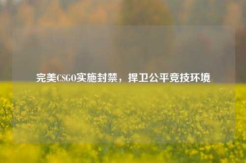 完美CSGO实施封禁,捍卫公平竞技环境