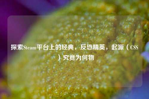 探索Steam平台上的经典,反恐精英,起源(CSS)究竟为何物