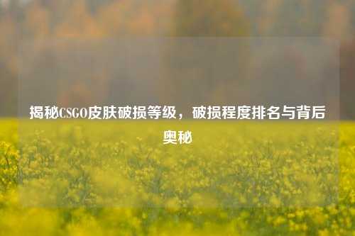揭秘CSGO皮肤破损等级,破损程度排名与背后奥秘