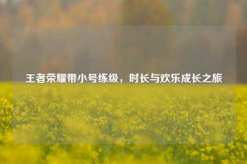 王者荣耀带小号练级,时长与欢乐成长之旅