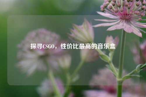 探寻CSGO,性价比更高的音乐盒