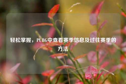 轻松掌握,PUBG中查看赛季信息及过往赛季的 ***
