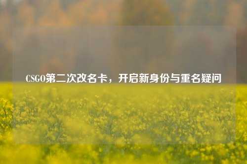 CSGO第二次改名卡,开启新身份与重名疑问