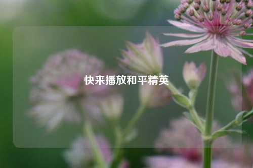 快来播放和平精英