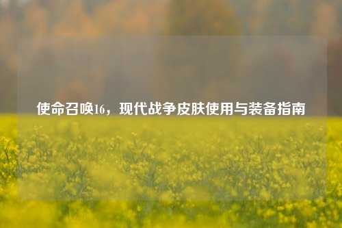 使命召唤16,现代战争皮肤使用与装备指南