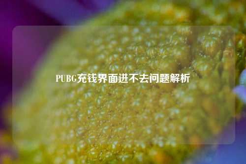 PUBG充钱界面进不去问题解析