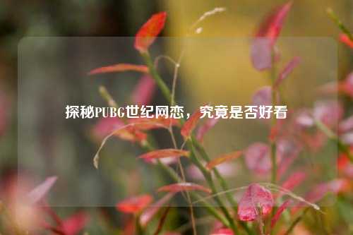 探秘PUBG世纪网恋,究竟是否好看