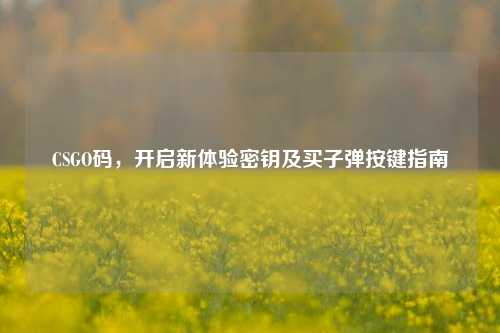CSGO码,开启新体验密钥及买子弹按键指南