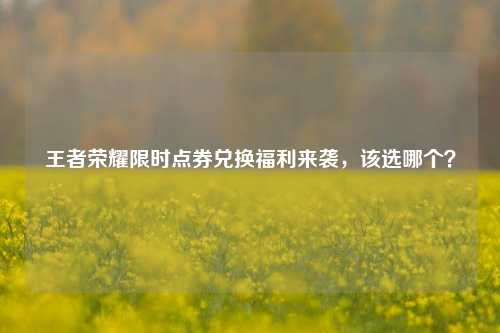 王者荣耀限时点券兑换福利来袭,该选哪个?