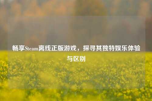 畅享Steam离线正版游戏,探寻其独特娱乐体验与区别