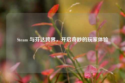 Steam 与芬达跨界,开启奇妙的玩家体验
