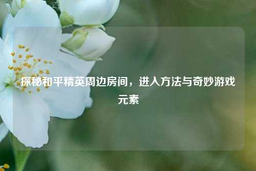 探秘和平精英周边房间,进入 *** 与奇妙游戏元素