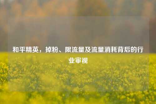 和平精英，掉粉、限流量及流量消耗背后的行业审视