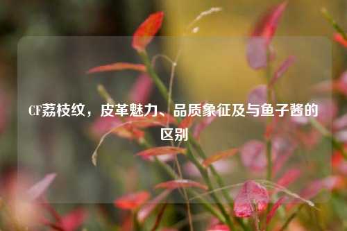 CF荔枝纹,皮革魅力、品质象征及与鱼子酱的区别