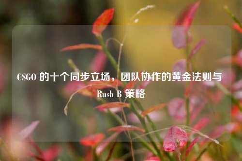 CSGO 的十个同步立场，团队协作的黄金法则与 Rush B 策略