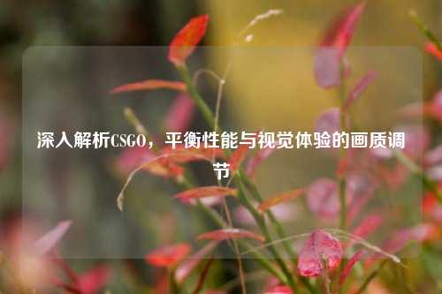 深入解析CSGO,平衡性能与视觉体验的画质调节
